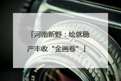 河南新野：绘就稳产丰收“金画卷”